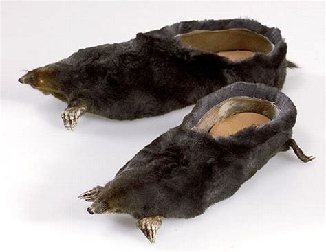 Cursed Shoe Images Inspired By Nature 🩰 Doge Much Wow