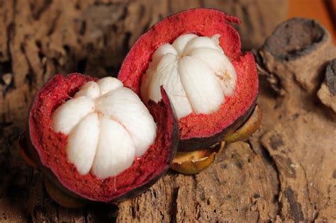 Premium Photo Mangosteen Fruit With Delicious Core Mangosteen