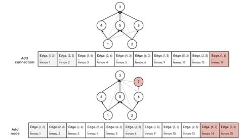 The Effective Encoding Of Neural Networks In The Neat Algorithm By