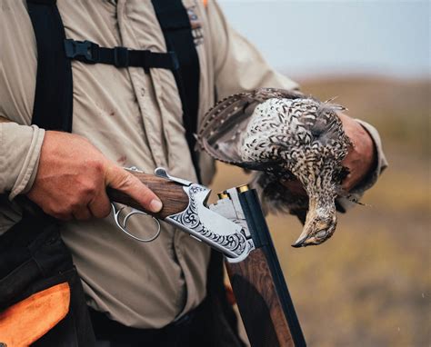 Successful Sharp Tailed Grouse Hunt Project Upland