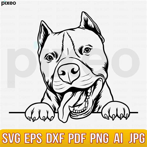 Pitbull Svg American Pit Bull Svg Pitbull Clipart Pitbull - Etsy Australia