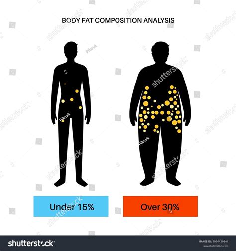 Your Body Fat Percentage REVEALED: The Visualizer You Need