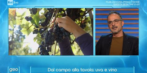 Geo Fabio Ciconte Dal Campo Alla Tavola Uva E Vino