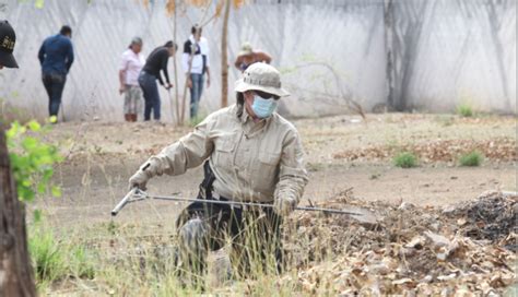 Gobierno de AMLO busca maquillar padrón de personas desaparecidas