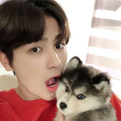 Pin by ୨୧ on loveline S coups icon Boyfriend pictures Kpop