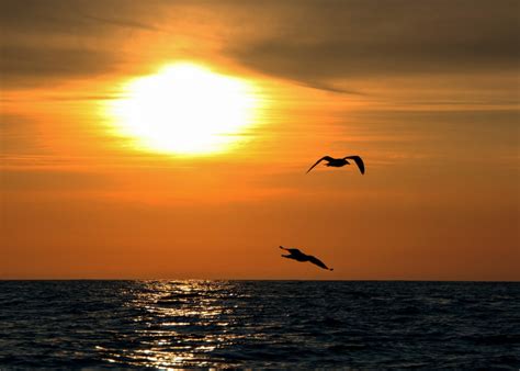 Bildet Strand Hav Kyst Horisont Sol Soloppgang Solnedgang