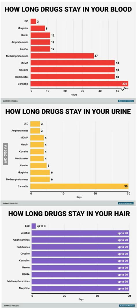 How Long Drugs Stay In Your Body Hope It Helps Someone 9GAG