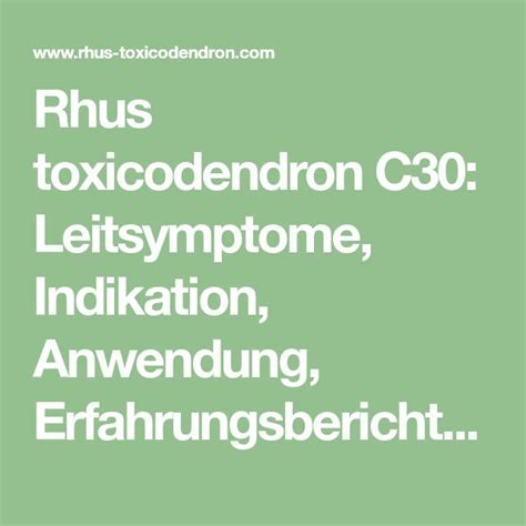 Rhus Toxicodendron C30 Leitsymptome Indikation Anwendung