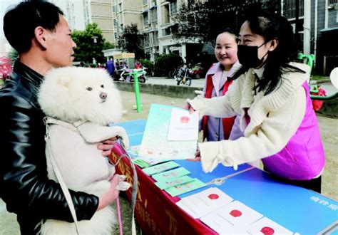 文明养犬 “宠”我做起中安新闻中安新闻客户端中安在线