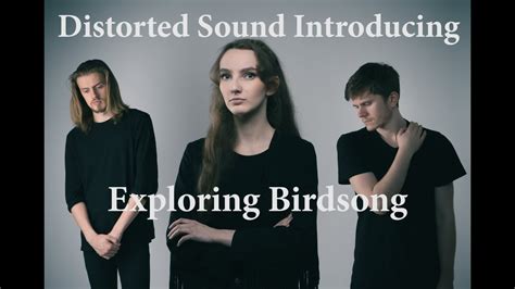 Introducing Exploring Birdsong Youtube