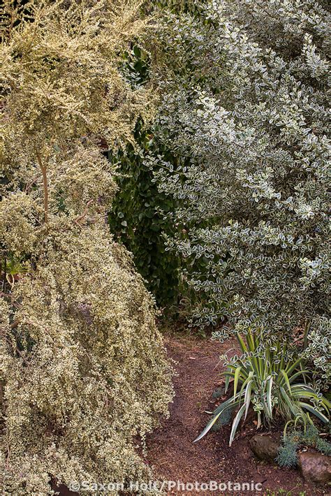 Holt Photobotanic Stock Photography Garden Library