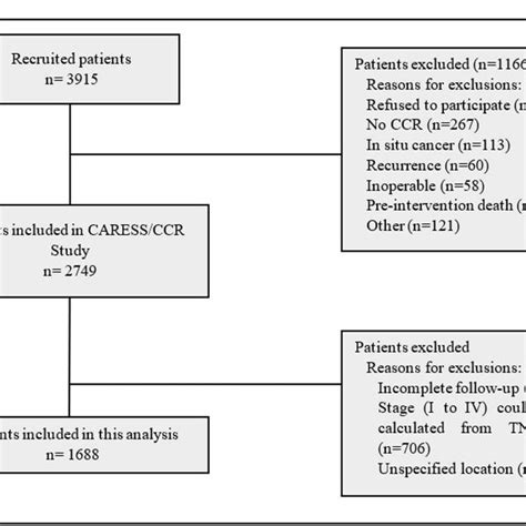 Flowchart Summarizing The Inclusion And Exclusion Criteria Applied