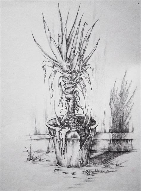 Plant Drawing Study :: Behance