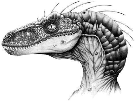 Jurassic Park Iii Velociraptor Revamped Design Dinosaur Art Dinosaur Sketch Dinosaur Drawing