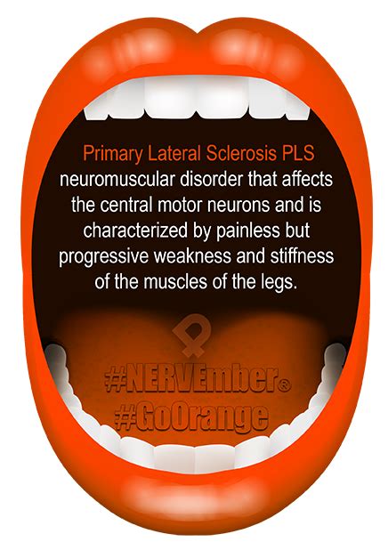 Primary Lateral Sclerosis - iPain Foundation Conditions Information