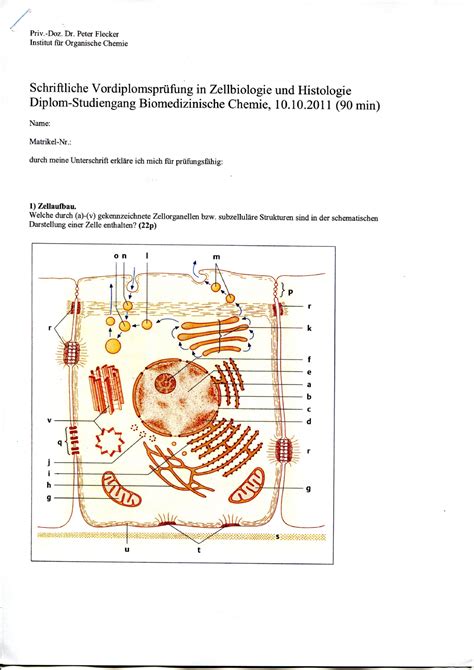 Zellbio Klausur Ws Flecker Zellbiologie Studocu