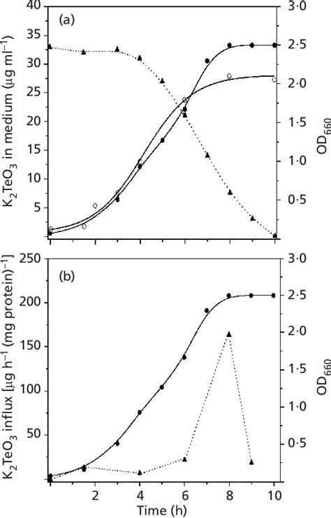 Figure 1 From The Membrane Bound Respiratory Chain Of Pseudomonas