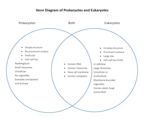 Create A Venn Diagram Comparing Prokaryotic And Eukaryotic Cells Varun