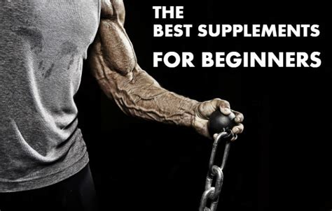 Bodybuilding Supplements For Beginners How To Choose The Right