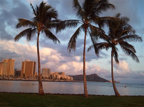 Quarterlife Adventures: Ala Moana Beach Park