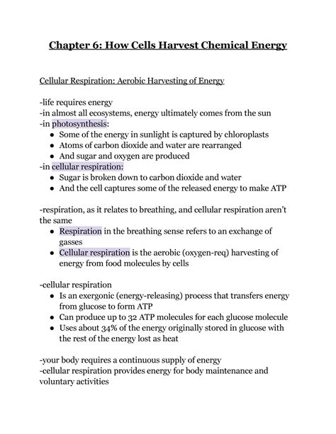 Chapter 6 How Cells Harvest Chemical Energy Chapter 6 How Cells