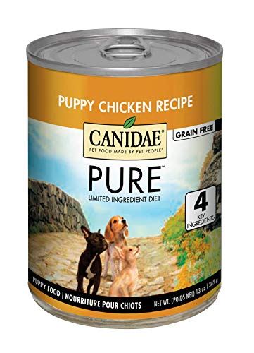 10 Best Low Carb Dog Food with High Protein Content | 2022 Top Picks