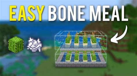 Easy Bonemeal Cactus Farm In Minecraft Youtube