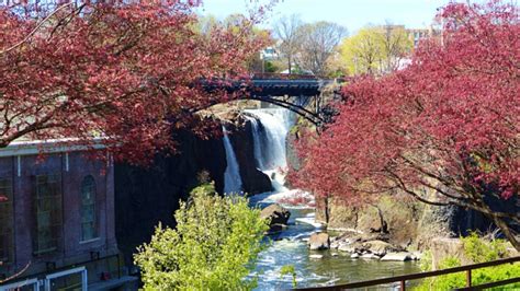 17 Parks in New Jersey to Visit (By a Local)