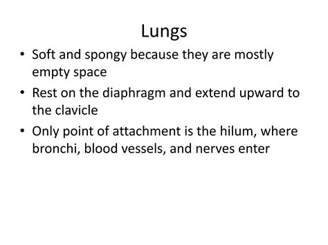 Lower Respiratory Tract Ppt Free Download