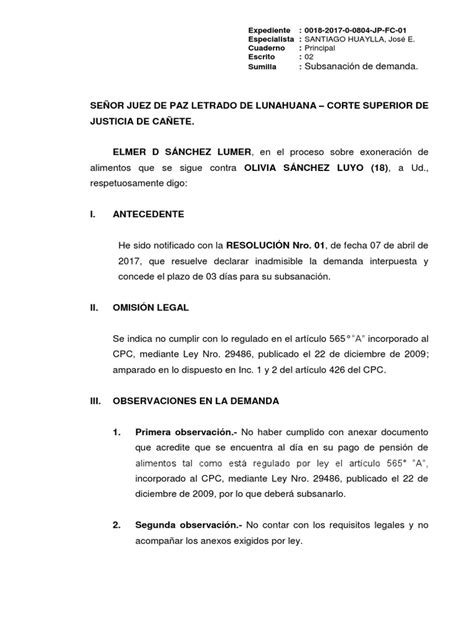 Total 90 Imagen Modelo De Subsanacion De Demanda Laboral Abzlocal Mx