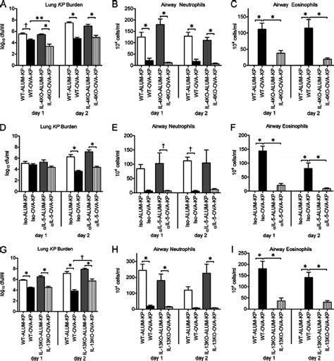 The Decreased Lung K Pneumoniae Burden Associated With Allergic Airway