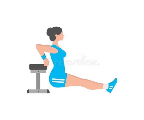 Woman Doing Triceps Dip Exercise on Bench Stock Vector - Illustration of exercising, triceps ...