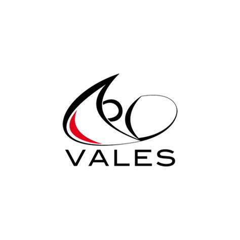 Vales Logo Zeroclip Studio