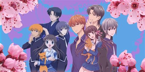 The Difference Between Fruits Basket And Fruits Basket