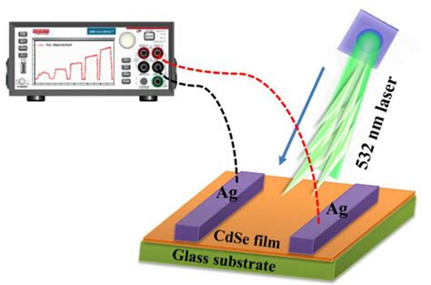 Schematic Diagram Of The Cdse Photodetector Under Visible Light