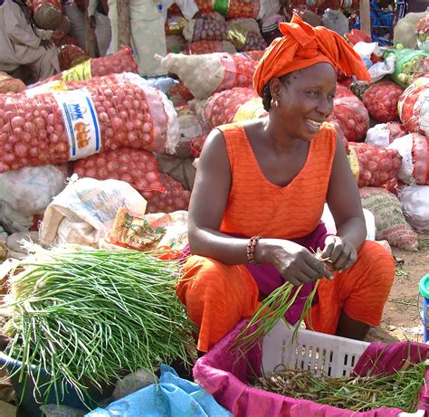 À Dakar La Vente De Paniers Bio En Plein Essor Cfsi