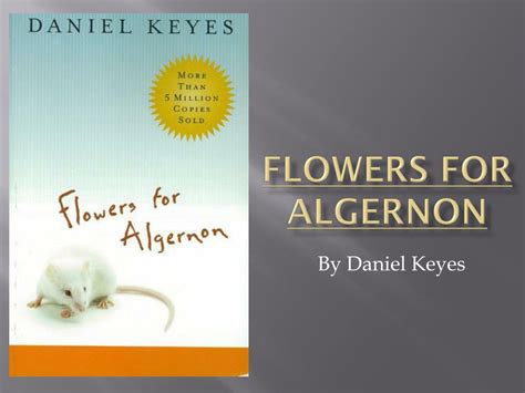 Flowers For Algernon Book Cover : Flowers For Algernon By Daniel Keyes As Book Hardback From ...