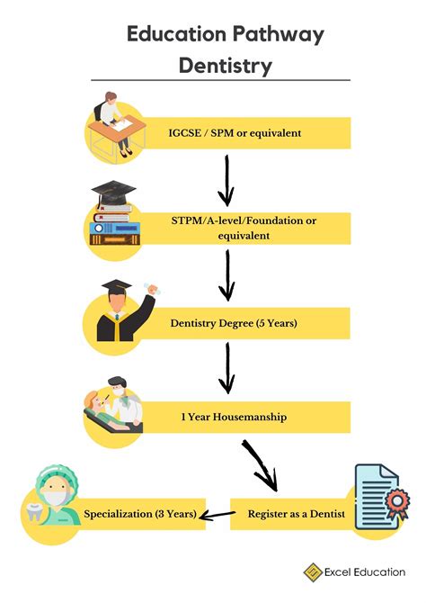 Top 5 Universities to study Dentistry in Malaysia 2021 - Excel ...