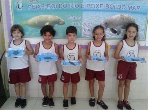 Notícias Projeto Peixe Boi Santa Cecília