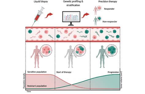 Liquid Biopsies Capture Tumor Heterogeneity And Resistance Before