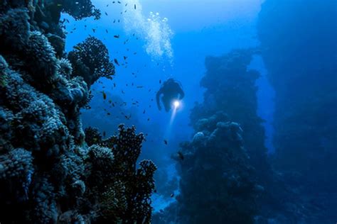 Rumus Kedalaman Laut Konsep Dan Penerapannya Gramedia Literasi