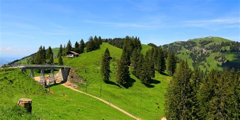 Rigi Panoramaweg Wanderung Outdooractive