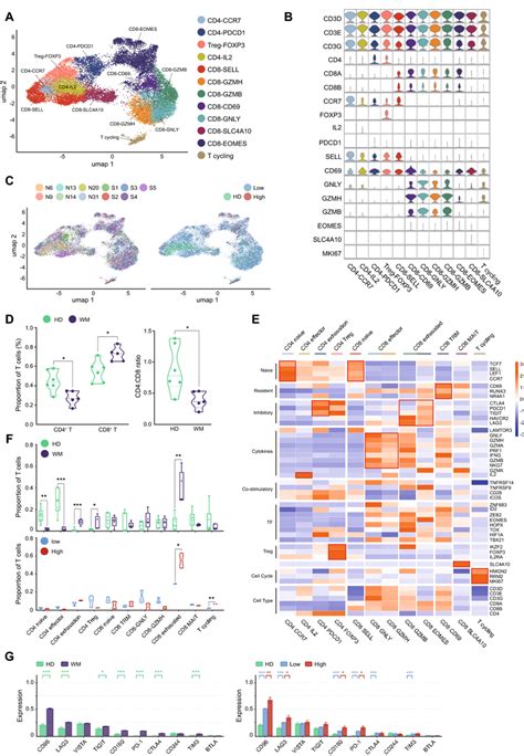 The Subtypes Of T Cells In Hd And Wm A T Sne Projections Of