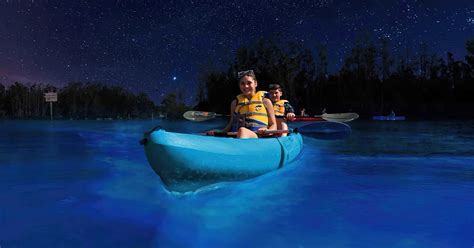 Magical Places For Bioluminescent Kayaking In Florida