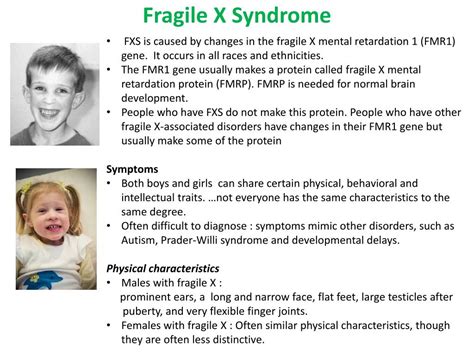 Ppt Common Causes Of Intellectual Disabilities Powerpoint Presentation Id 3125427