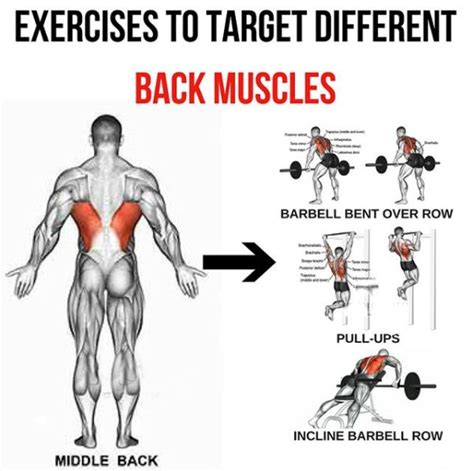 25+ bästa Middle back exercises idéerna på Pinterest | Träning hemma ...