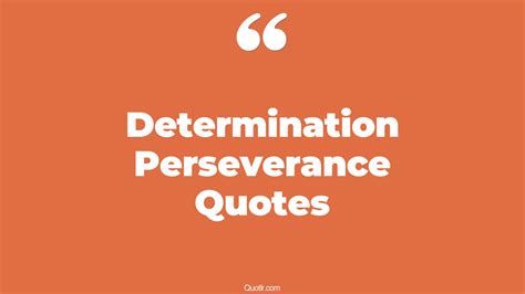 45 Useful Determination Perseverance Quotes That Will Unlock Your True Potential