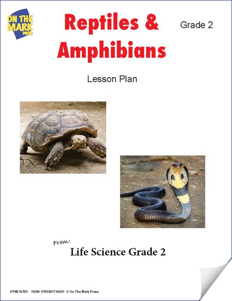 Reptiles And Amphibians E Lesson Plan Grade 2