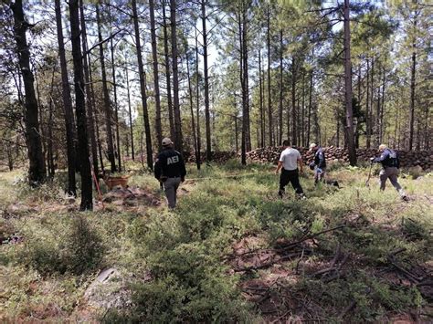 Contin An B Squeda De Luis Fernando Aros Foglio En Guachochi Norte De