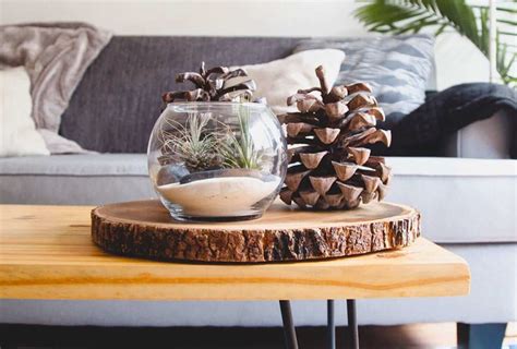 30 Rustic Coffee Table Decor Ideas You Will Love